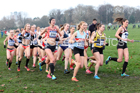 Senior womens British Athletics Liverpool Cross Challenge, Sefton Park, Liverpool. Photo:  David T. Hewitson/Sports for All Pics